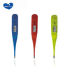 Transparent house Thermometer Digital