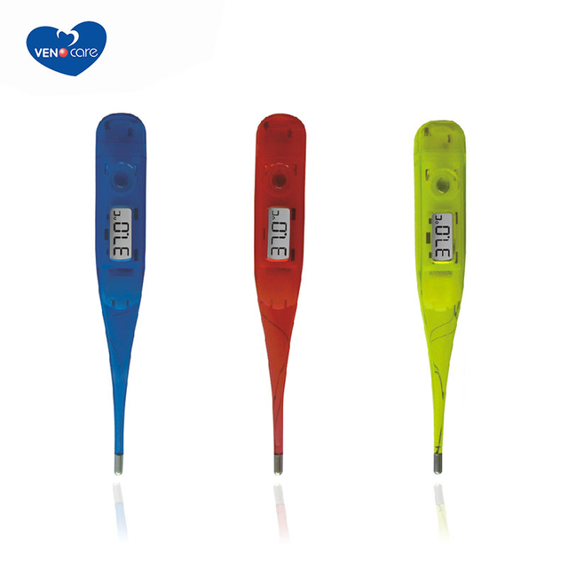 Transparent house Thermometer Digital